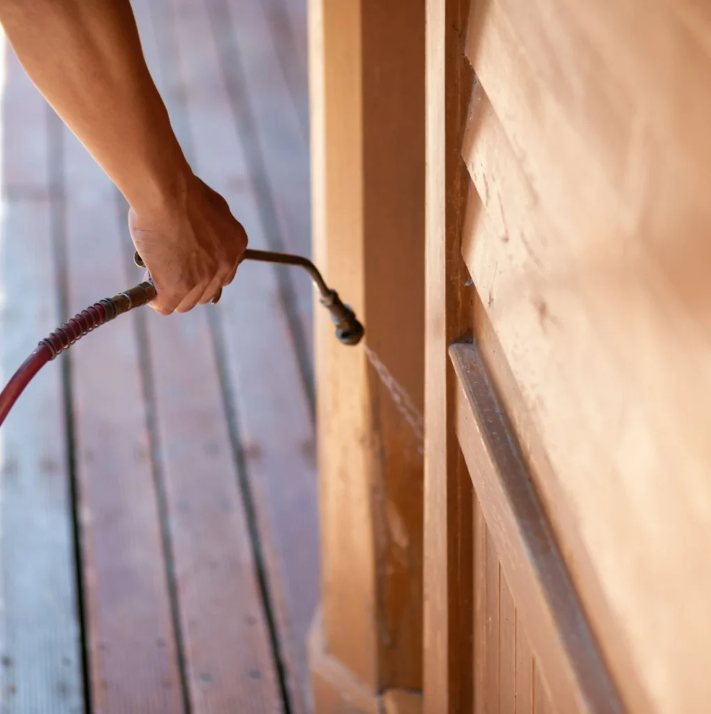 Trusted Pest Control - South Ozone Park Best Pest Pros | South Ozone Park, NY | 631-284-4977